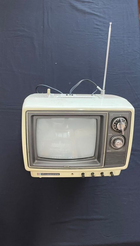 Televisão 