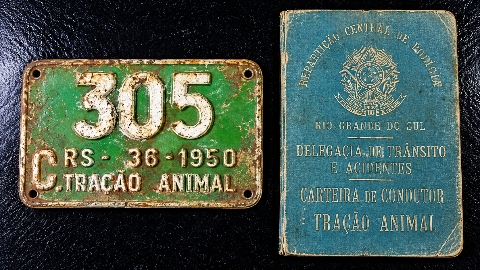 Placa e carteira