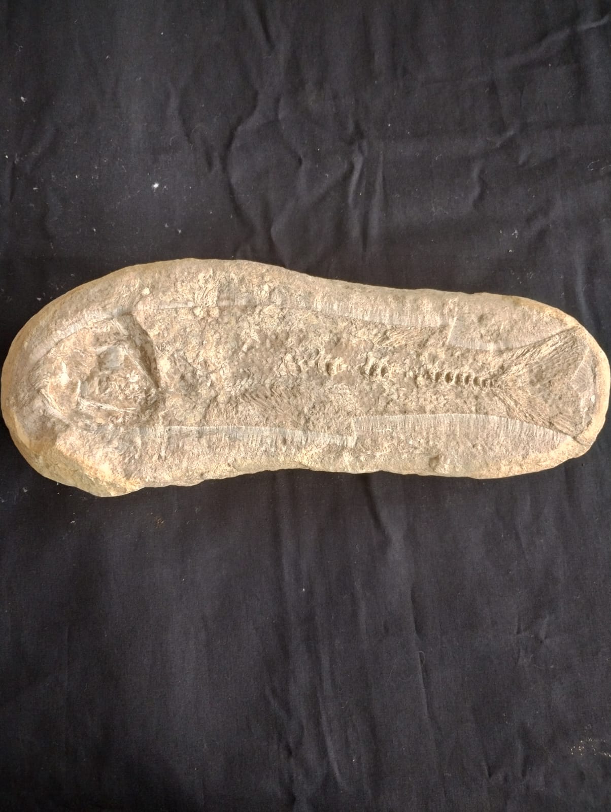 Pedra com peixe